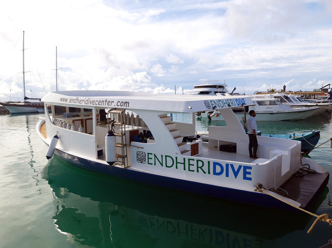 Endheri Dive Center景点图片