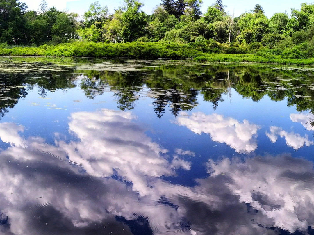 Norris Reservation-Norwell必去景点