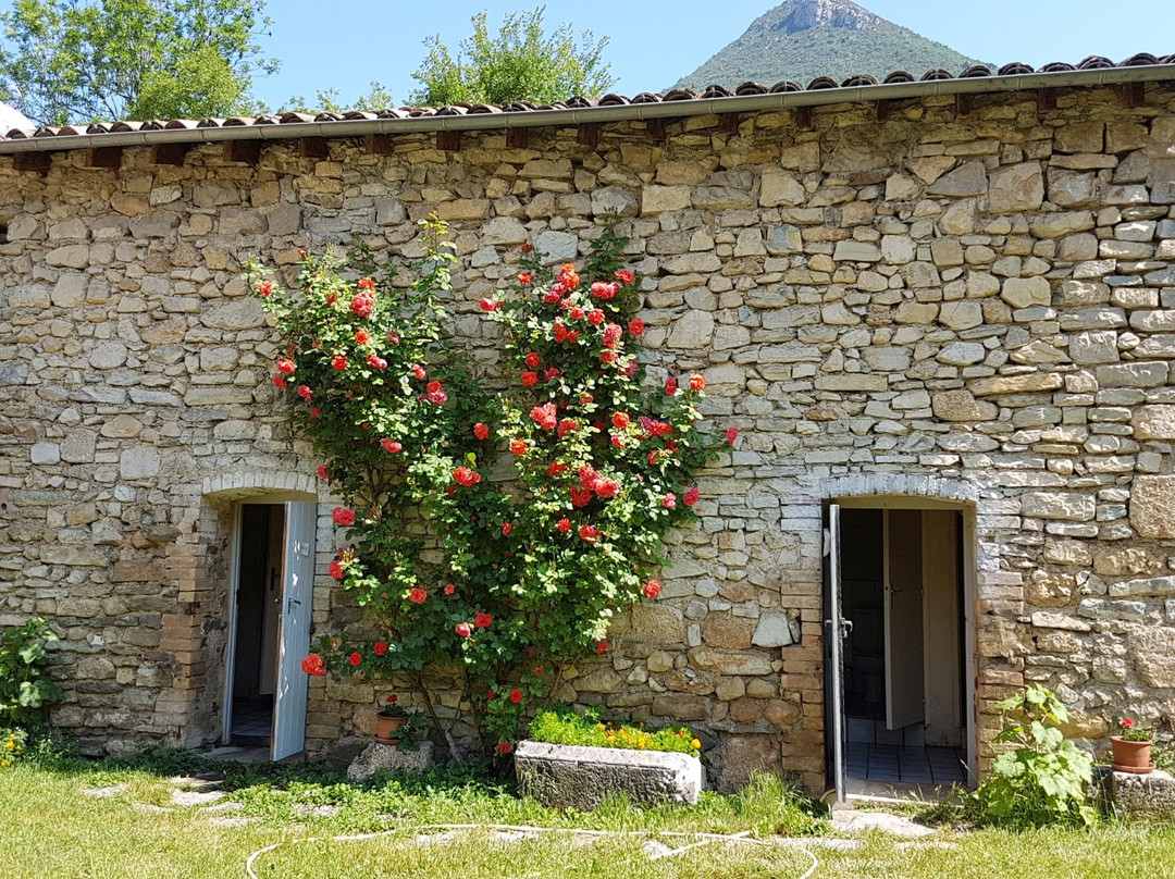 Abbaye Notre-Dame de Valcroissant景点图片