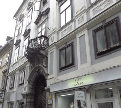 Schweigerjeva House-卢布尔雅那必去景点