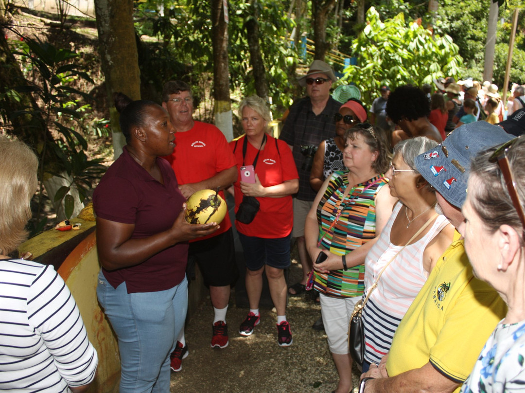 John's Hall Adventure Tours-蒙特戈贝必去景点