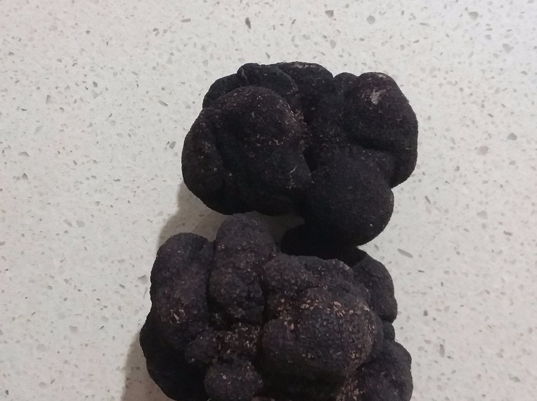 Macenmist Black Truffles & Wines-Bredbo必去景点