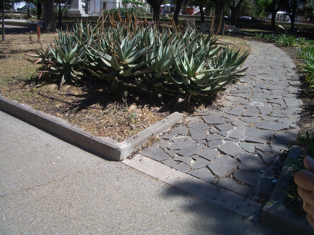 Putifigari旅游景点-Giardini Giuseppe Manno