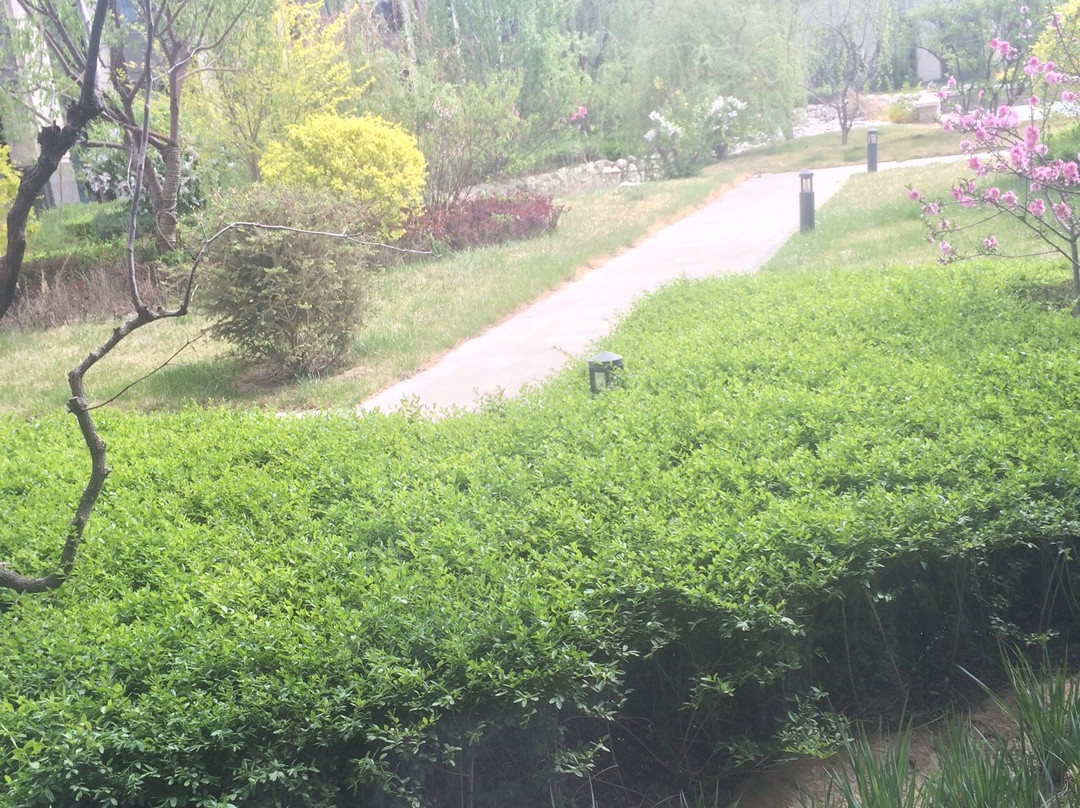 银川国际交流中心酒店主图