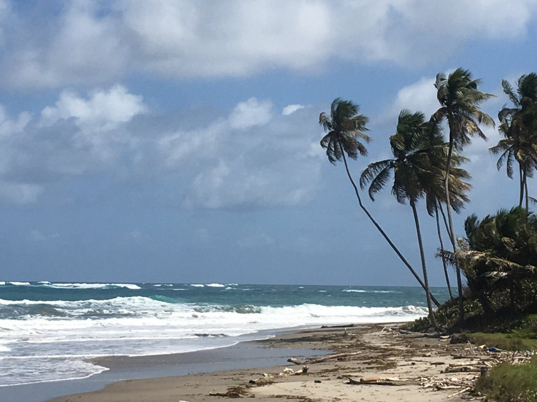 AJ Meddy Taxi & Tours Service-St. George's必去景点