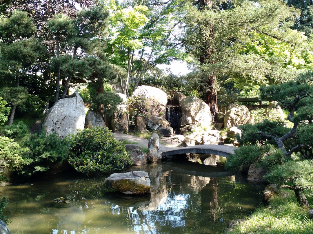 Lakeside Park and Garden Center景点图片