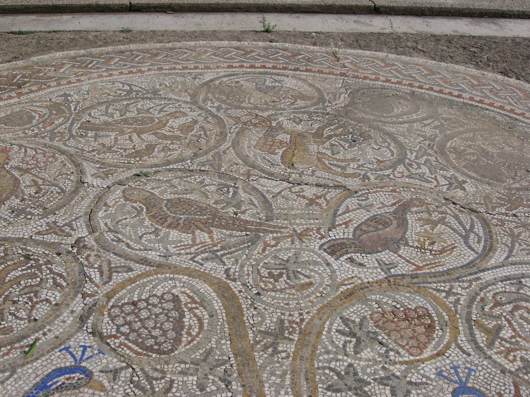 Musee Public National de Cherchell景点图片