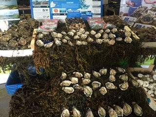 Chauffeur Ireland-都柏林必去景点