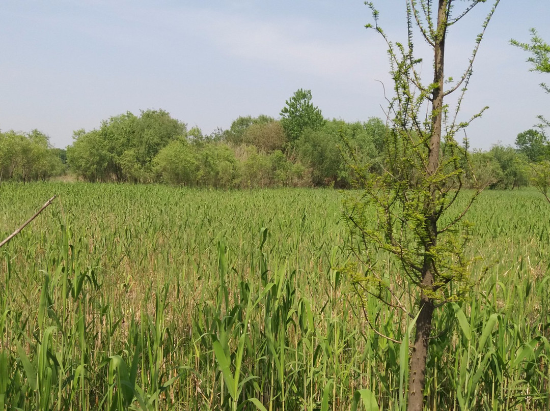 泰州溱湖风景区科普馆-泰州市必去景点