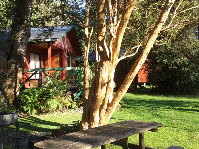 Camping y Cabanas Los Copihues