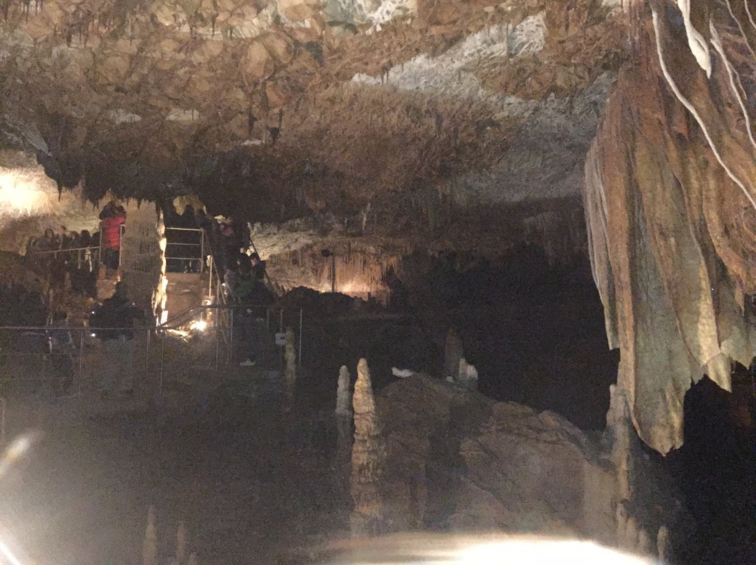 Thanasis Kalofolias VIP Transport-Elliniko必去景点