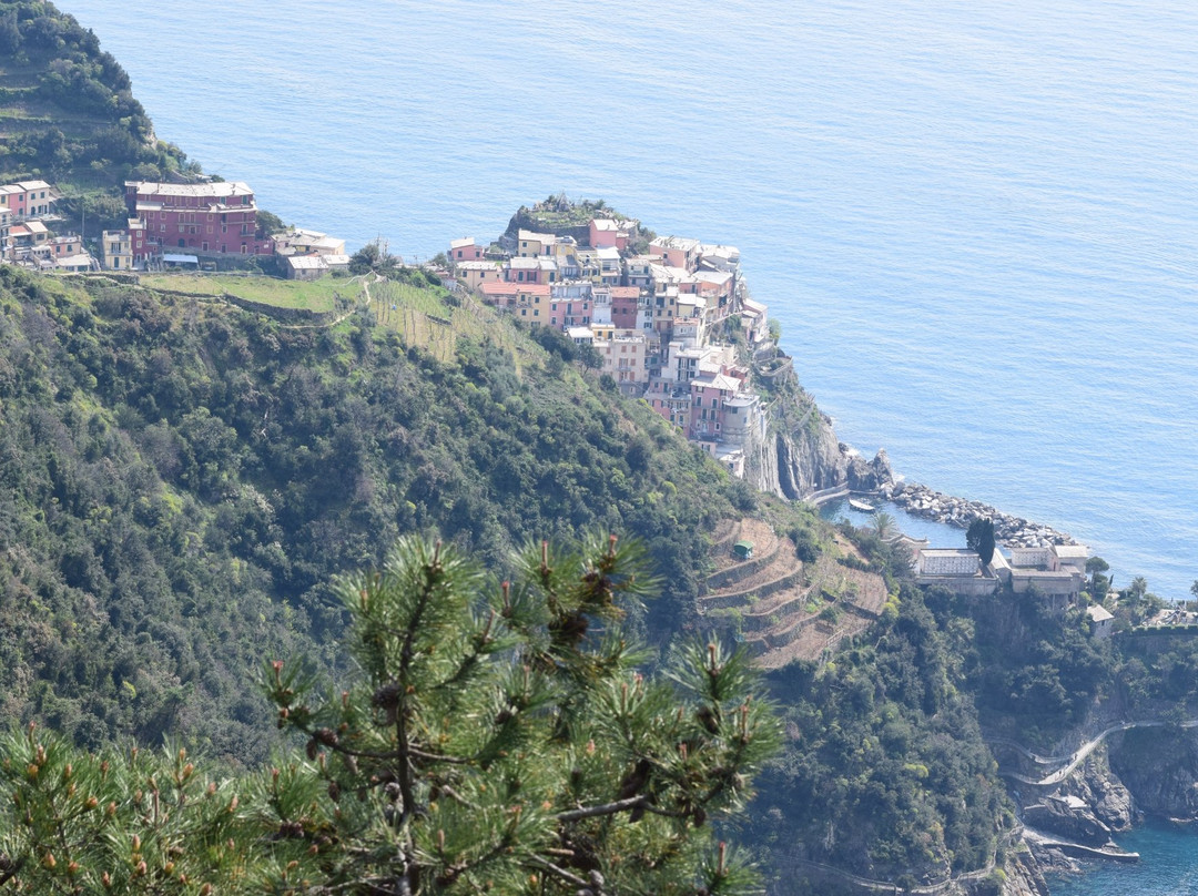 Path N. 6D-Corniglia必去景点