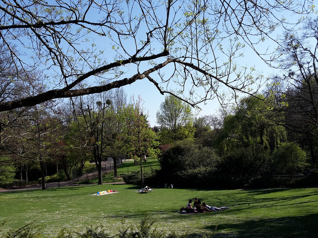 Parc des Carrières Bacquin-第戎必去景点
