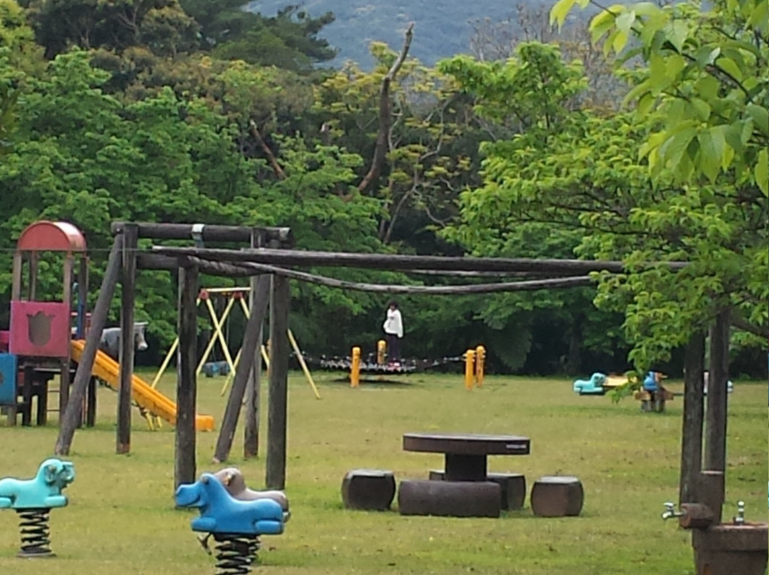 Amami Forest Police景点图片