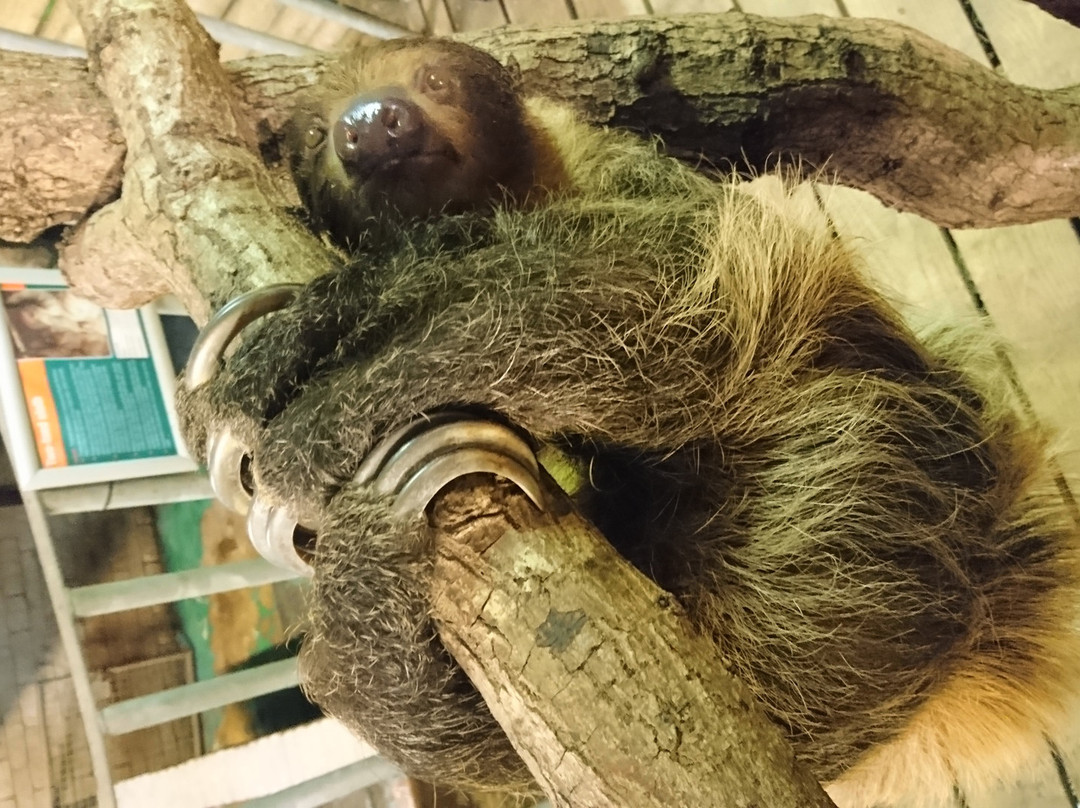 Heythrop Zoological Gardens-奇平诺顿必去景点