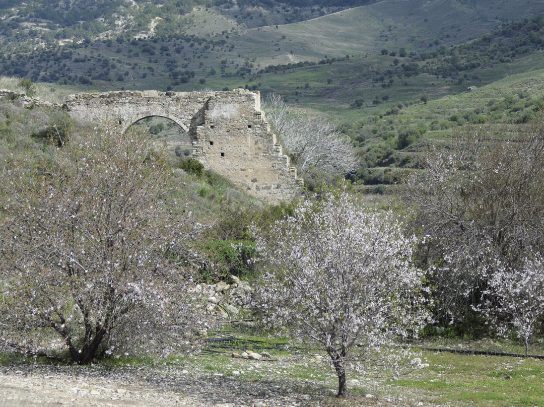 Panagia of Sintis-帕福斯必去景点