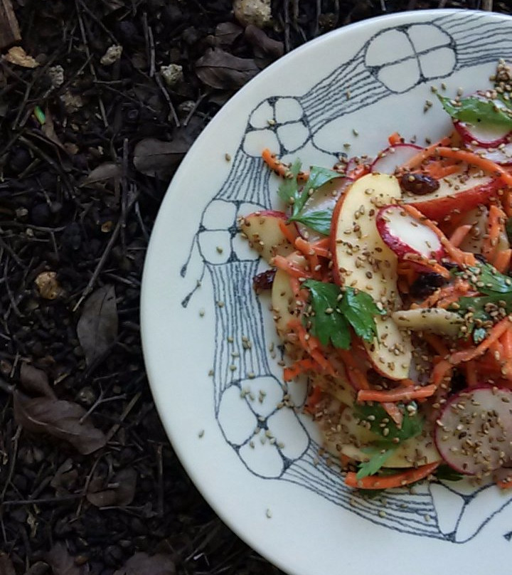 Evelien Sipkes Studio-威廉斯塔德必去景点