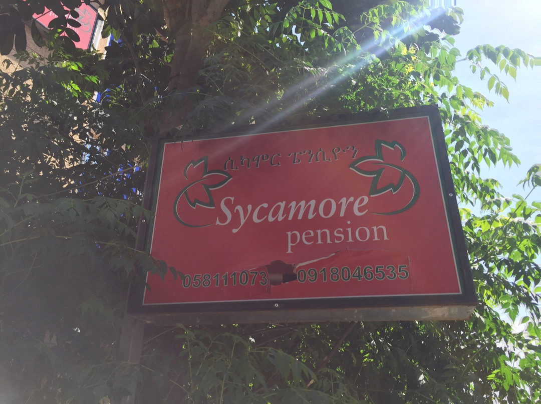 Sycamore Pension主图