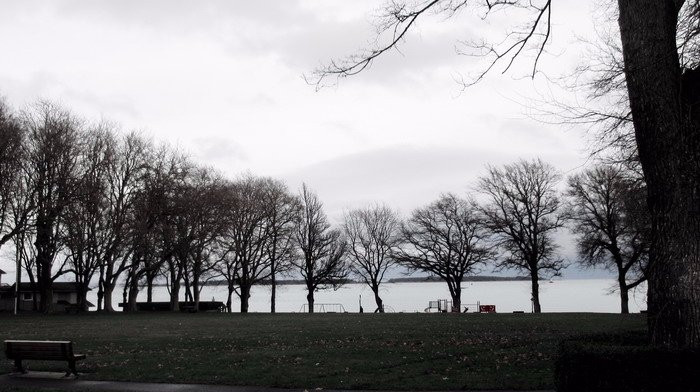 Willows Park-维多利亚必去景点