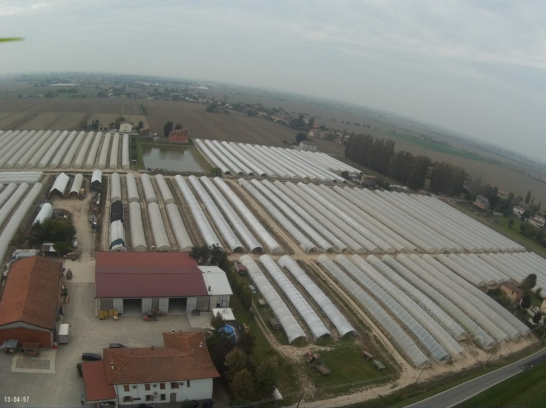 Azienda Agricola Malaguti景点图片