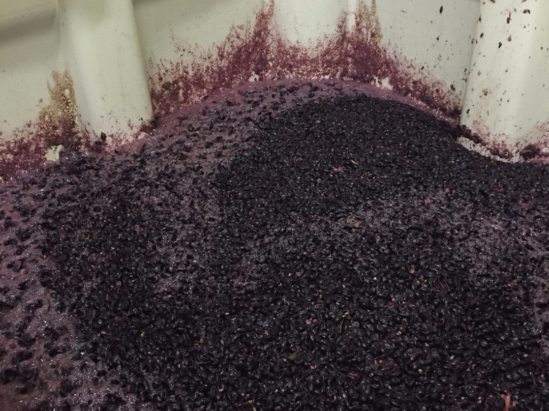 Palouse Winery-Vashon必去景点