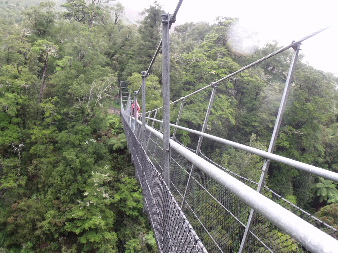 Waiohine Gorge Suspension Bridge景点图片