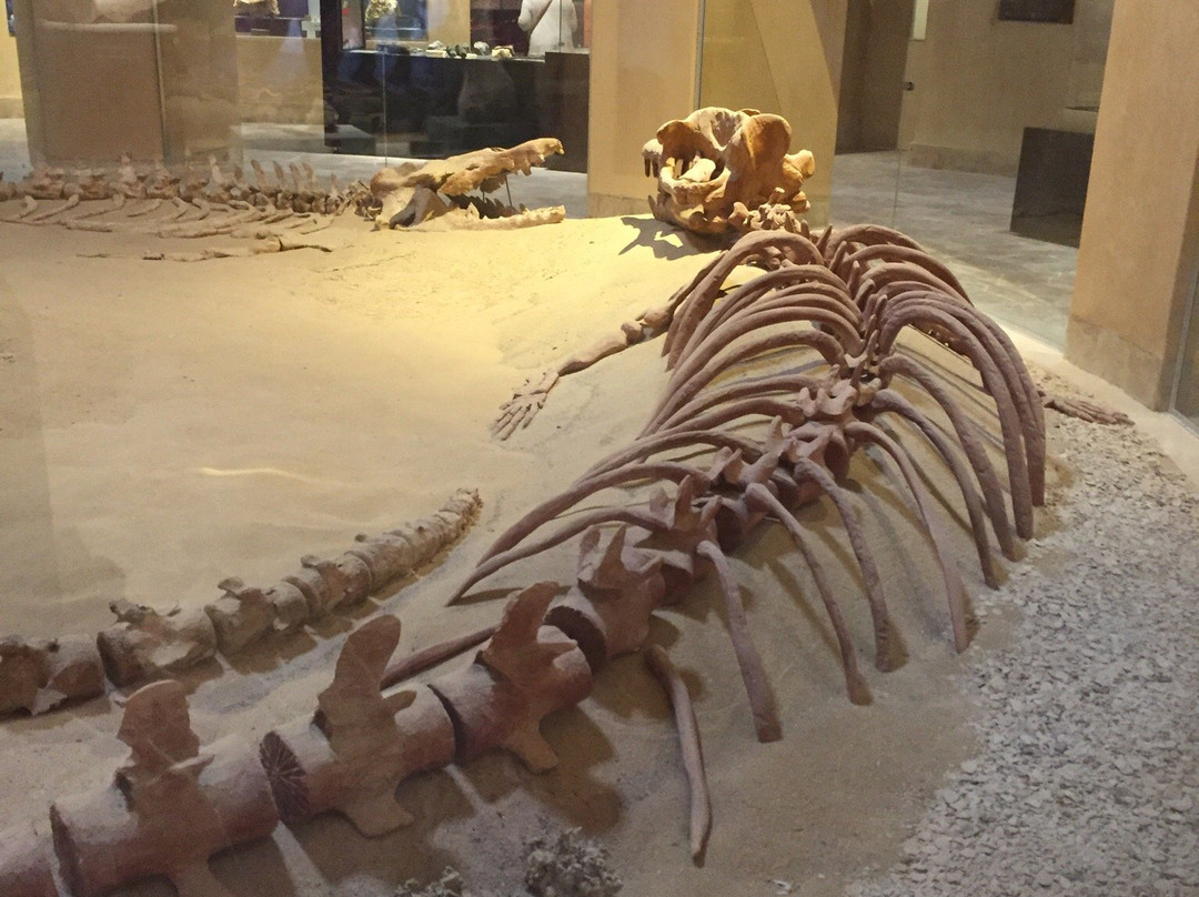 Lahun Pyramid-法尤姆必去景点