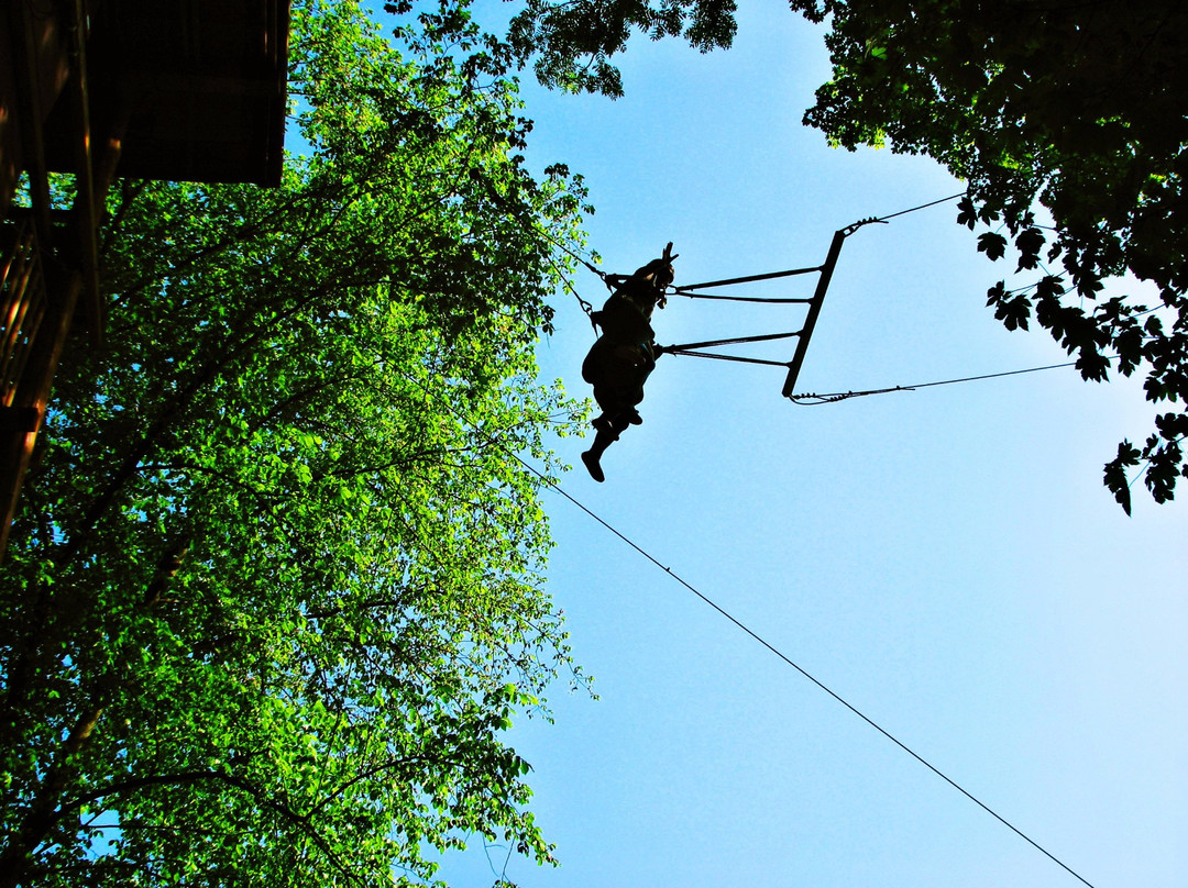 Ablandia Rope Park景点图片