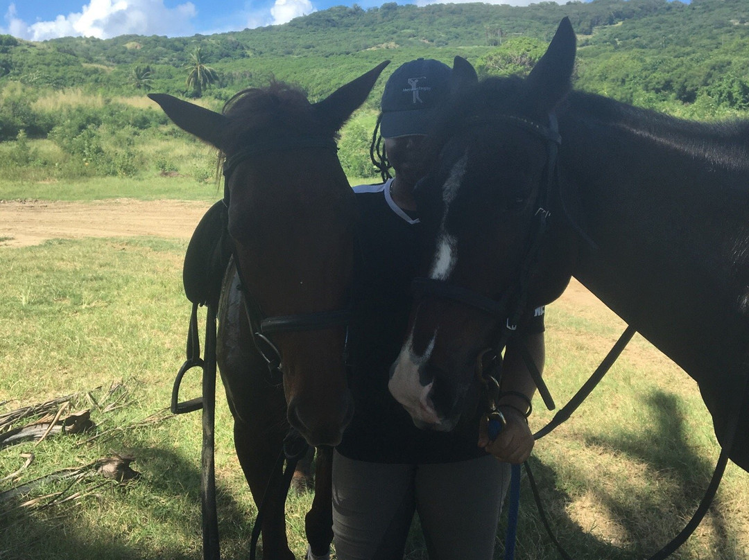 Cleland Equestrian Club-Saint Andrew Parish必去景点