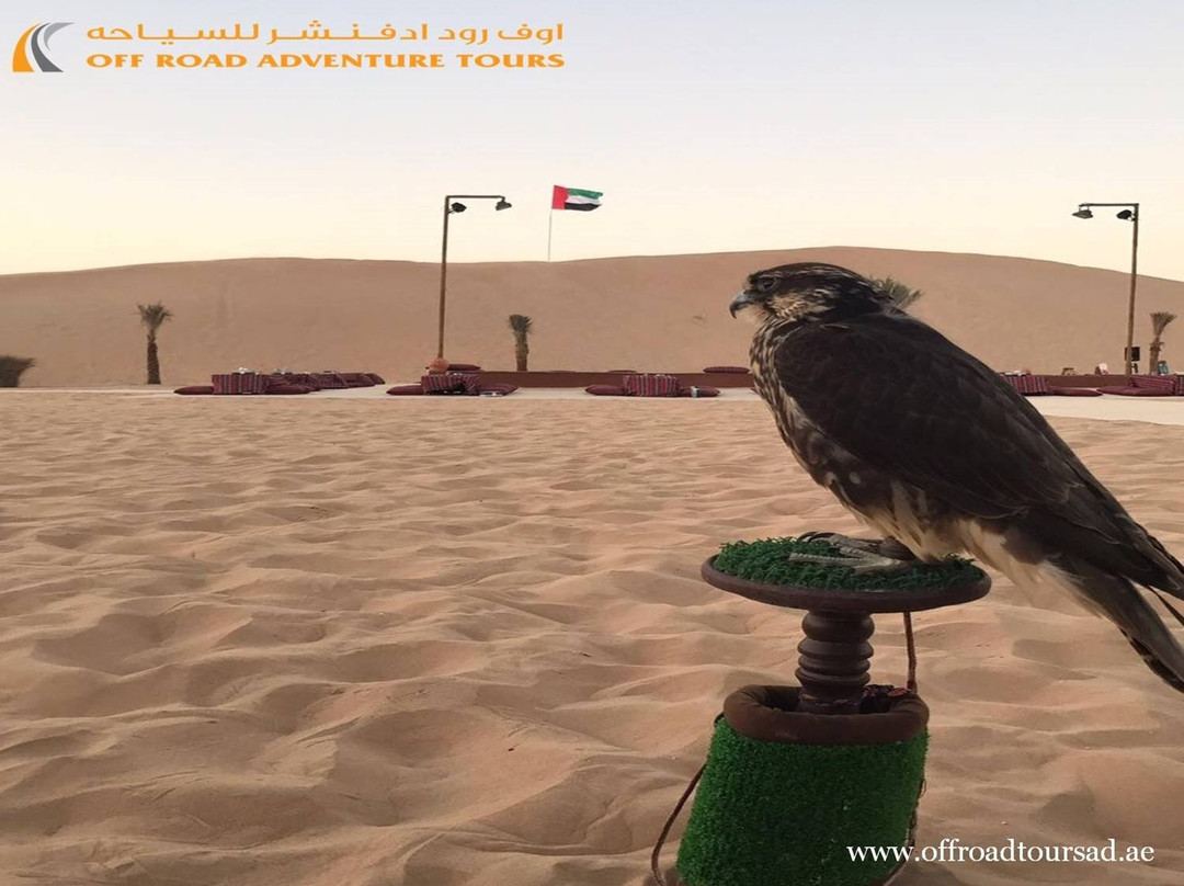 Off Road Adventure Tours-阿布扎比必去景点