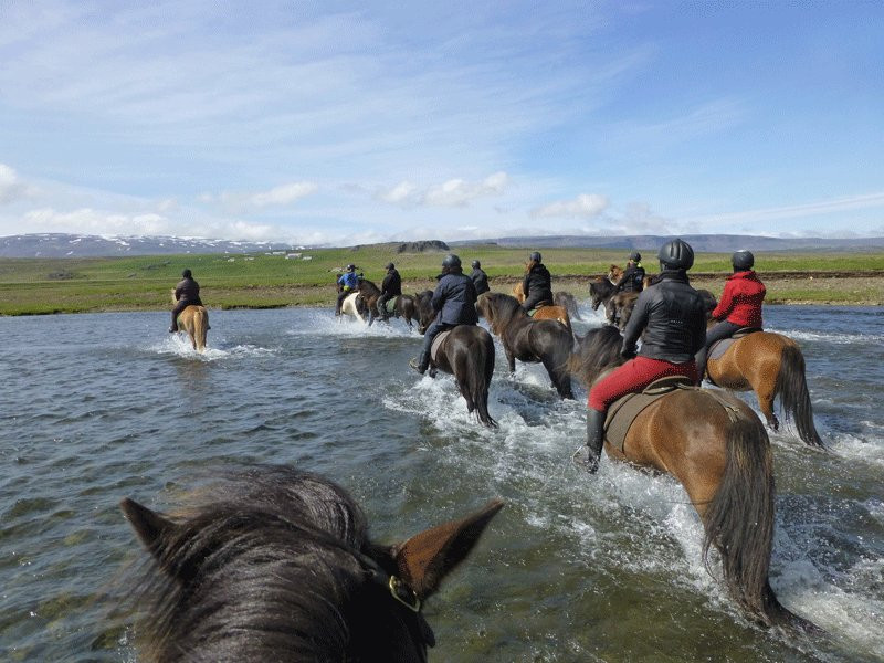 Tophorses-莫斯费德斯拜尔必去景点