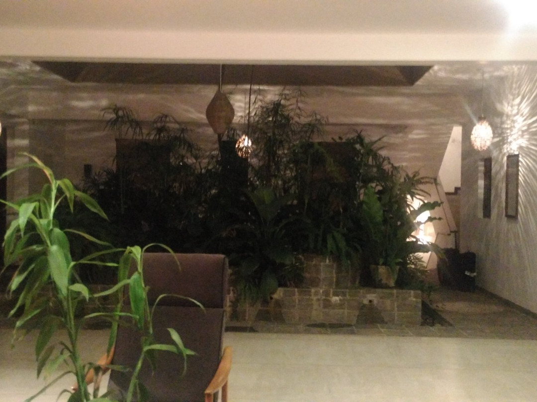 The Mirror Mansion主图