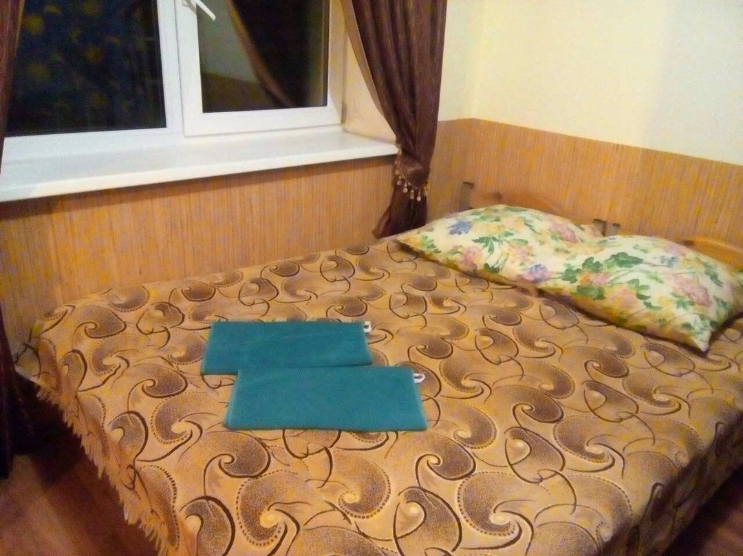 Guest House Berezka主图