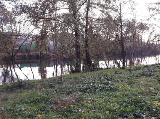 Parque de la Isla-Plasencia必去景点