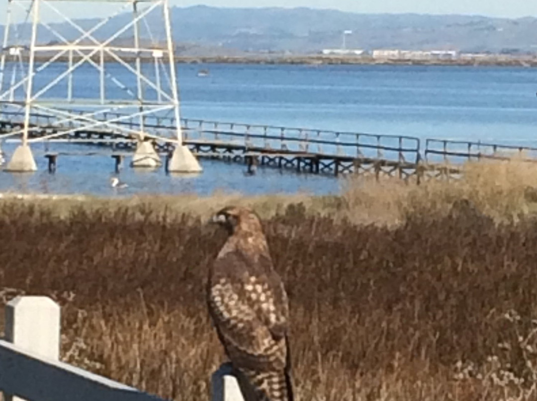 Bay Trail-山景城必去景点
