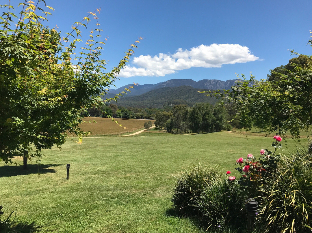 A Taste of Wine Tours-布赖特必去景点