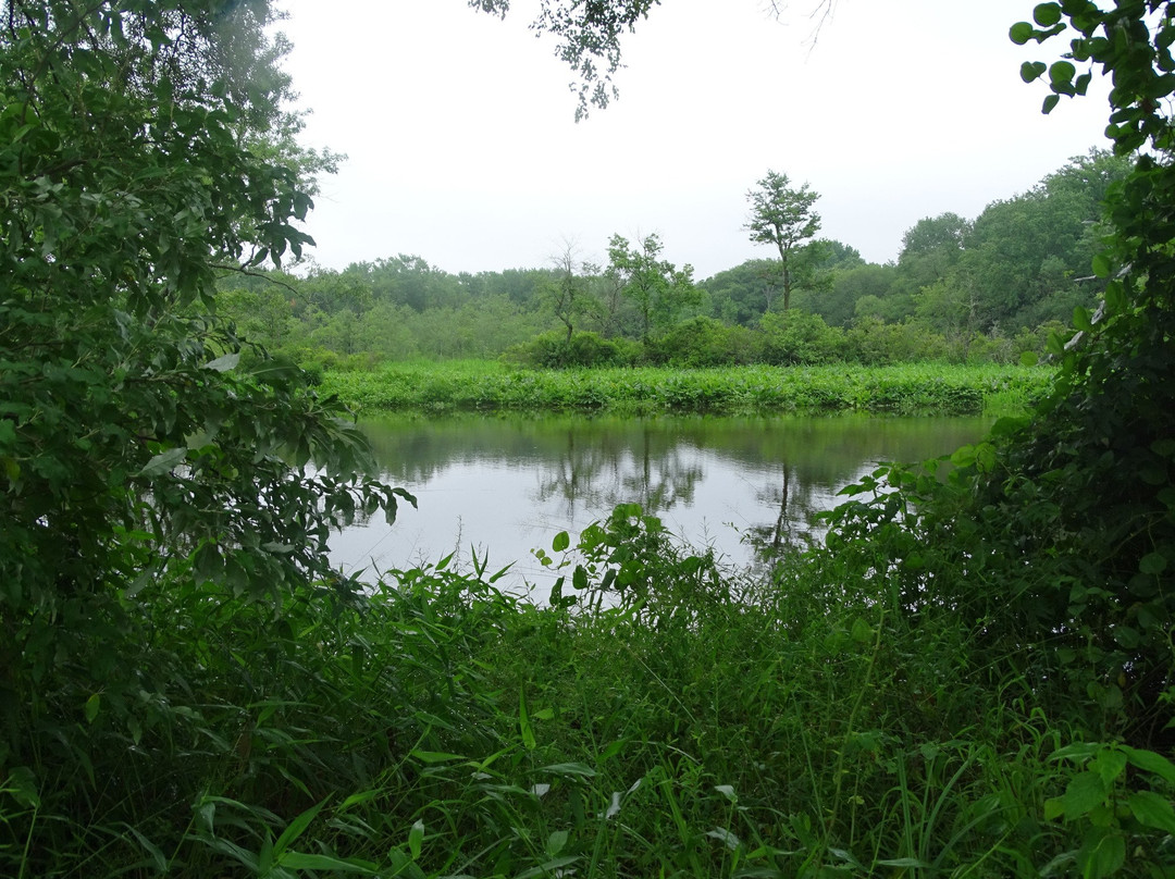 Rancocas Nature Center-Westampton必去景点