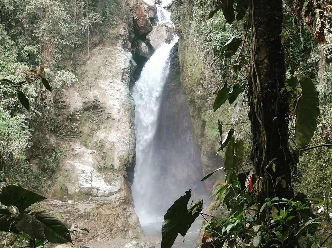 Cascadas del Rio Verde景点图片