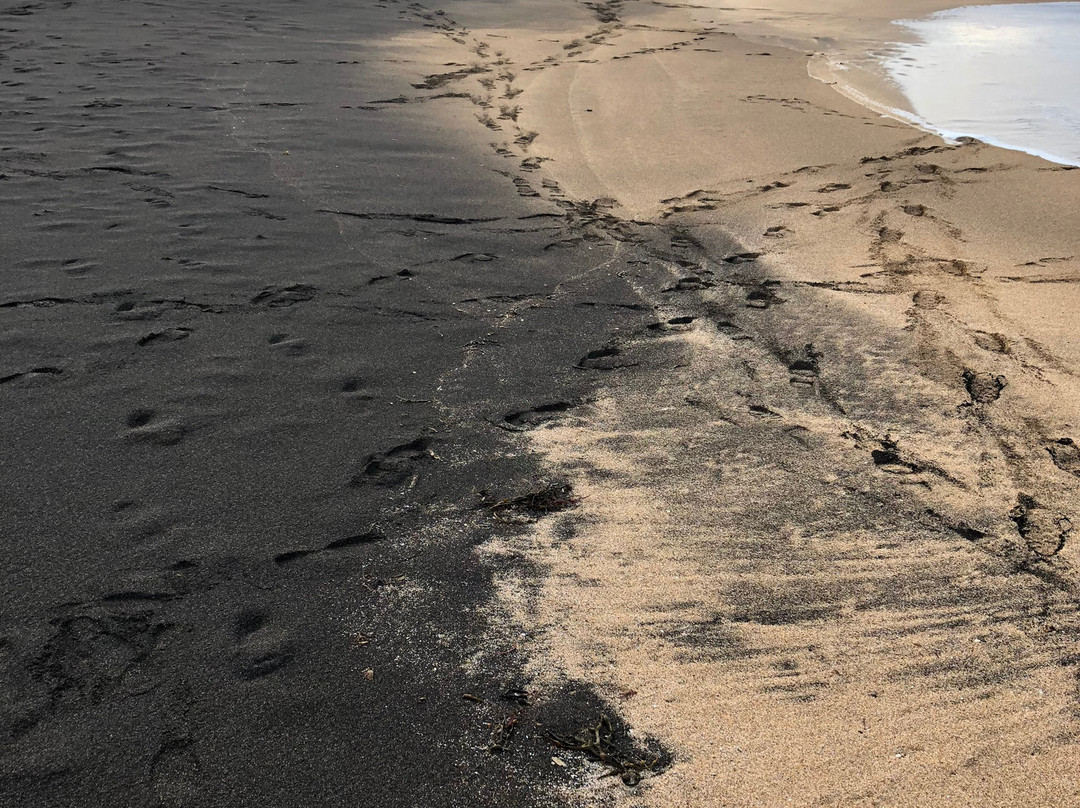 Skardsvik Beach-Hellissandur必去景点