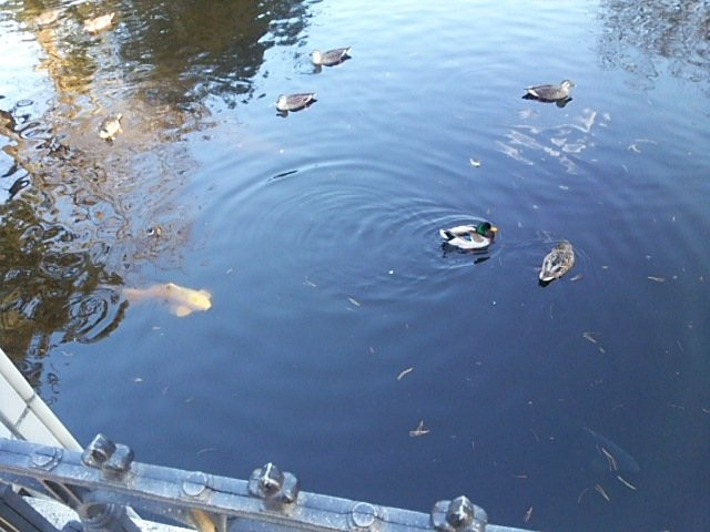 Satsunai Garden Onsen-幕别町必去景点