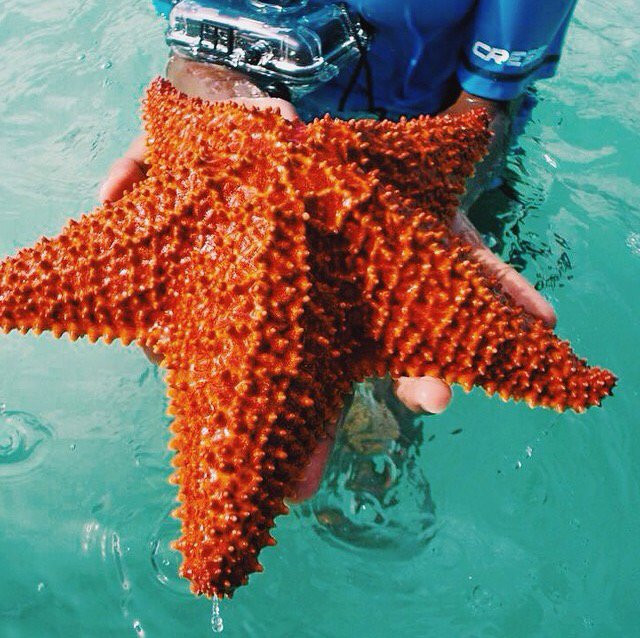 Baggy Rocks-拿骚必去景点