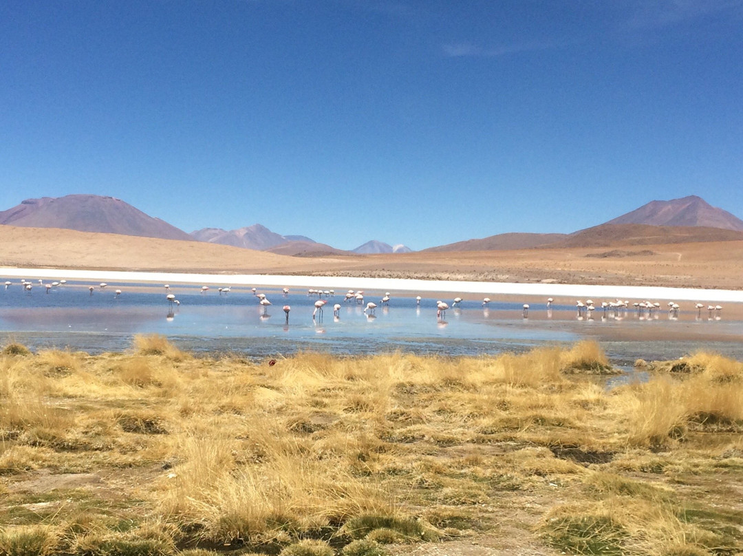 Tonito Tours景点图片