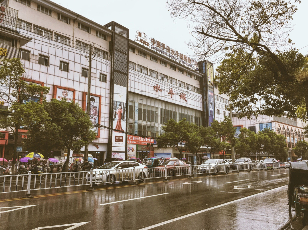 水牛城购物广场-潜江市必去景点
