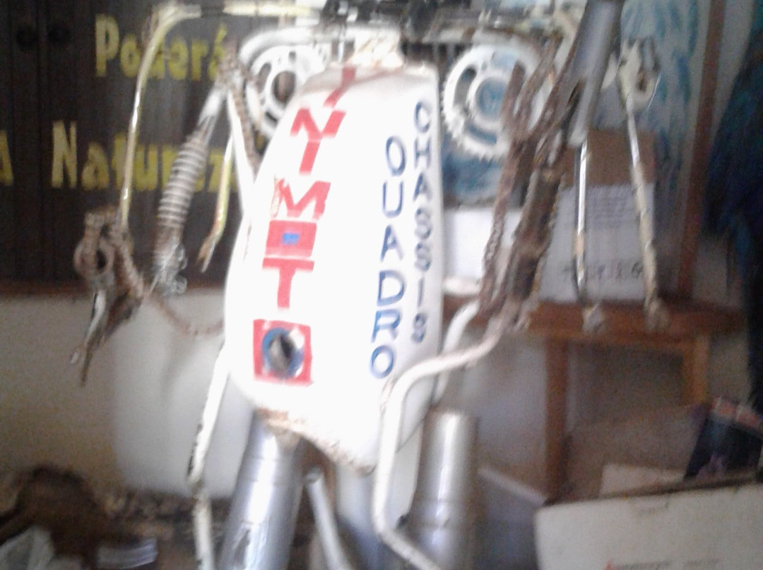 Museu de Historia Natural de Cravinhos