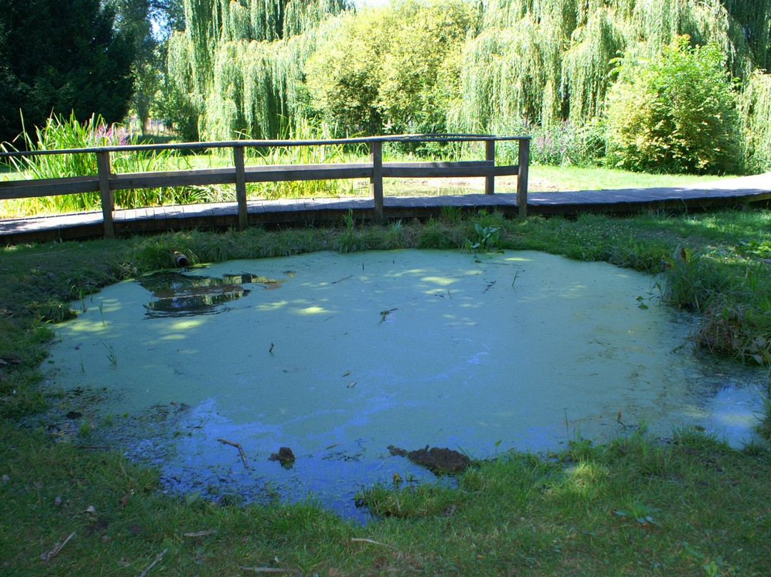 Arboretum Du Bois De Vincennes景点图片