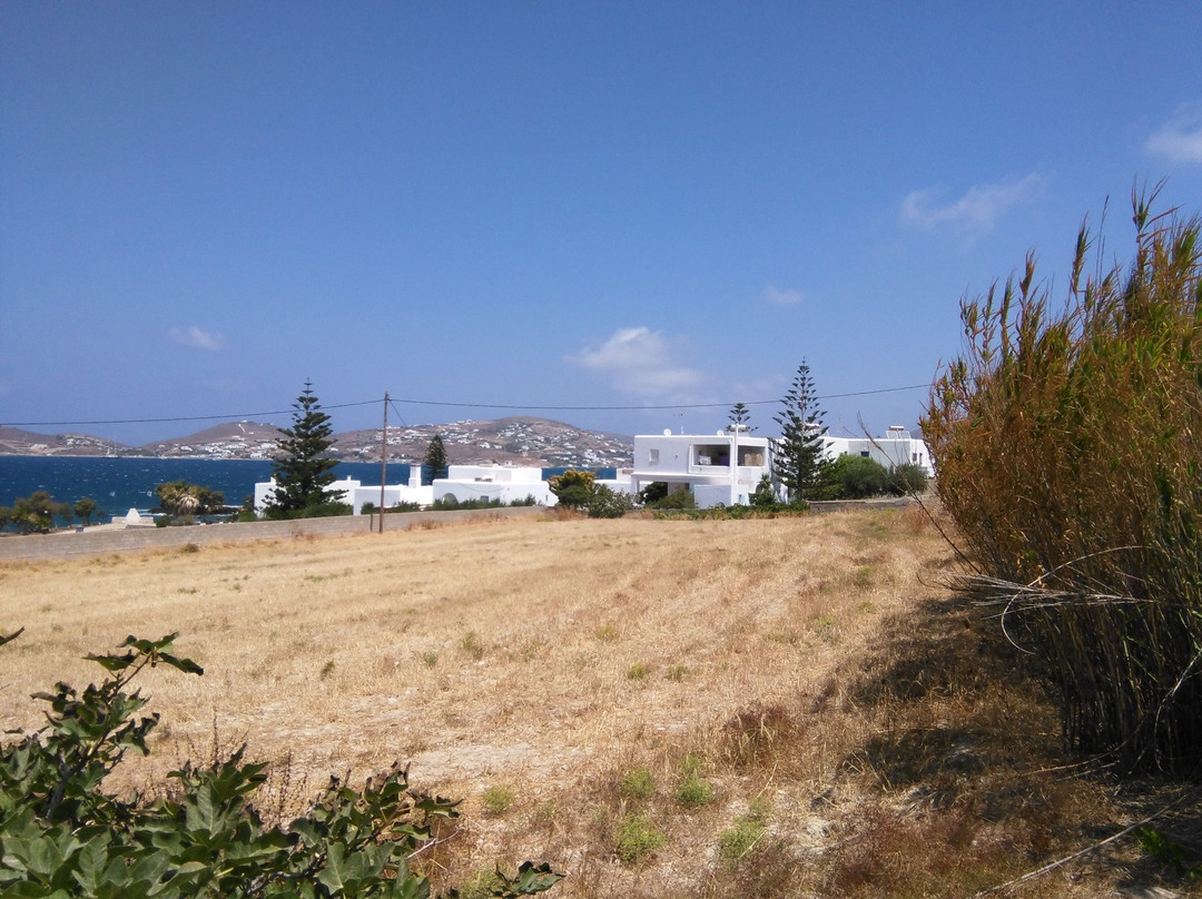 Bella Vista Studios主图