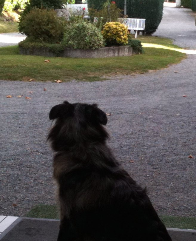 Hotel Du Gabizos主图