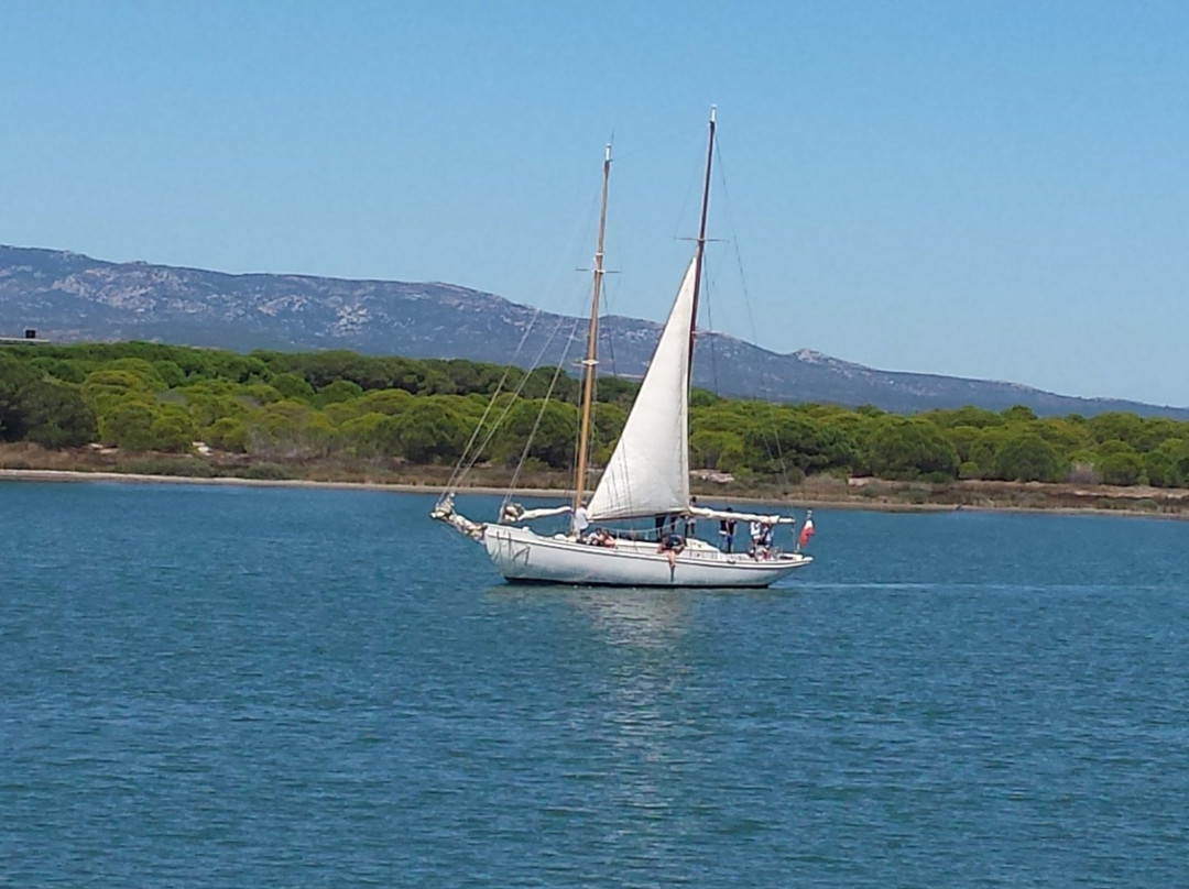 null-Port Leucate