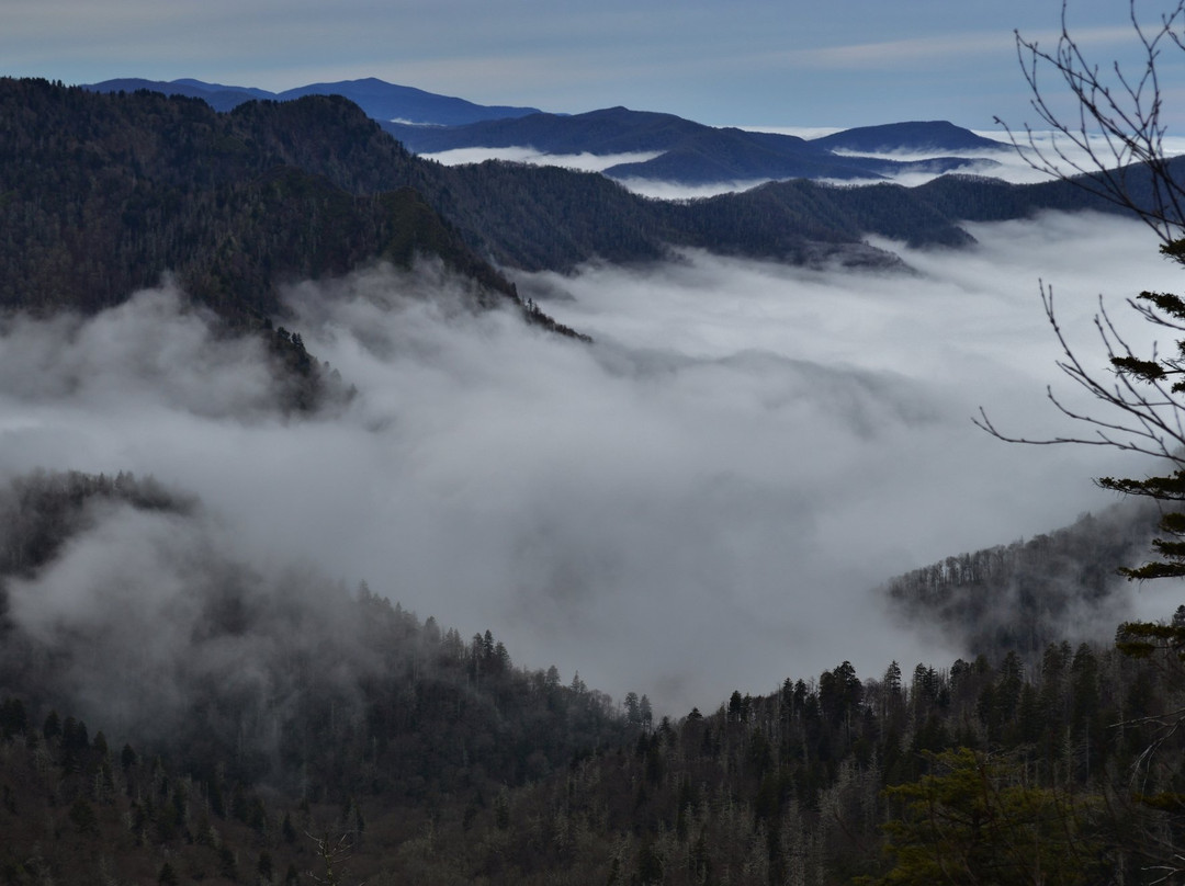 Upper Tremont Road in Great Smoky Mountains National Park-大雾山国家公园必去景点