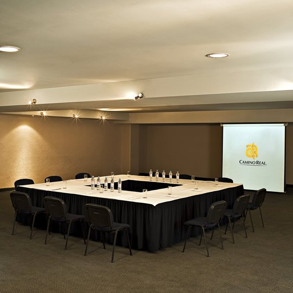 帕丘卡酒店住宿-Camino Real Pachuca